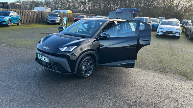 BYD Dolphin Surf 65kW Boost 43kWh 5dr Auto Electric Hatchback